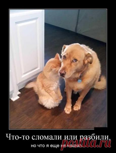 Подборка смешных демотиваторов на самые разные темы. Всем добра!