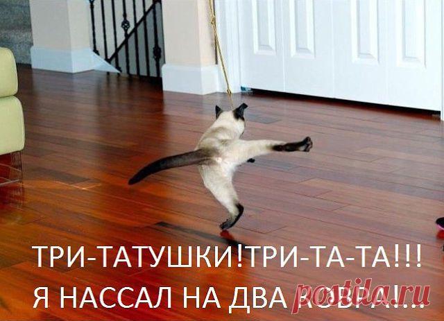 Одноклассники