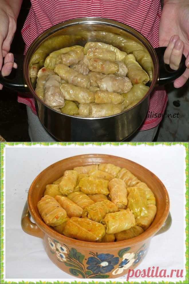 голубцы