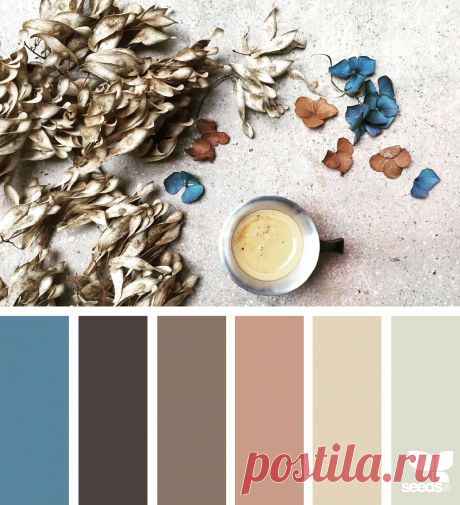 design seeds | color arrange | for all who ♥ color