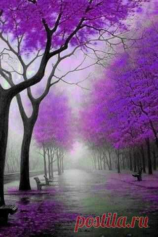 Pinterest