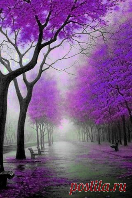 Pinterest