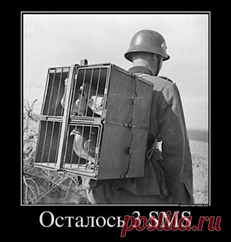 Фото группы | Фотографии Такое возможно только в России! | 4318 фото | Группы Мой Мир