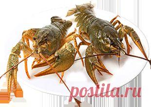 картинки пиво раки - Поиск в Google