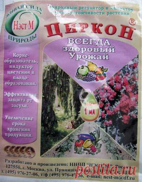ЦИРКОН

Циркон-иммуномодулятор, корнеобразователь, индуктор цветения - препарат широкого спектра действия обладает сильным фунгицидным и антистрессовым действием. Нормализует гомеостаз (обмен) растений, защищает их от загрязнения тяжелыми металлами. Изготавливается из природного сырья - эхинацеи пурпурной.

Действие циркона 

- при замачивании семян увеличивает их энергию прорастания и всхожесть, активизирует ростовые процессы и увеличиваеи биомассу растений, повышает урож...