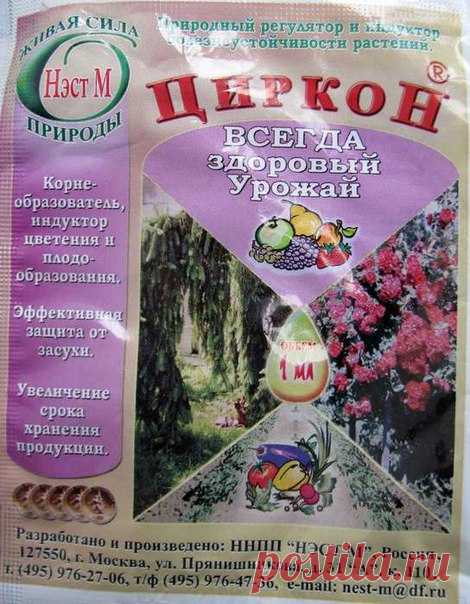 ЦИРКОН

Циркон-иммуномодулятор, корнеобразователь, индуктор цветения - препарат широкого спектра действия обладает сильным фунгицидным и антистрессовым действием. Нормализует гомеостаз (обмен) растений, защищает их от загрязнения тяжелыми металлами. Изготавливается из природного сырья - эхинацеи пурпурной.

Действие циркона 

- при замачивании семян увеличивает их энергию прорастания и всхожесть, активизирует ростовые процессы и увеличиваеи биомассу растений, повышает урож...