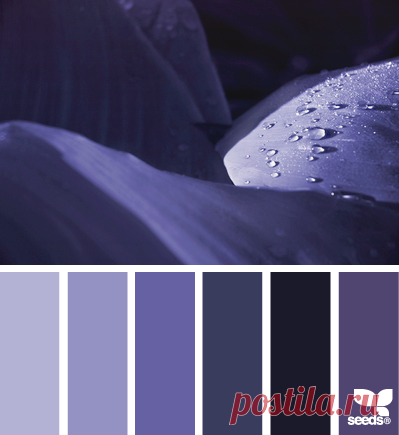 Цветы, деревья — источник вдохновения! | BepHuK собирает друзей