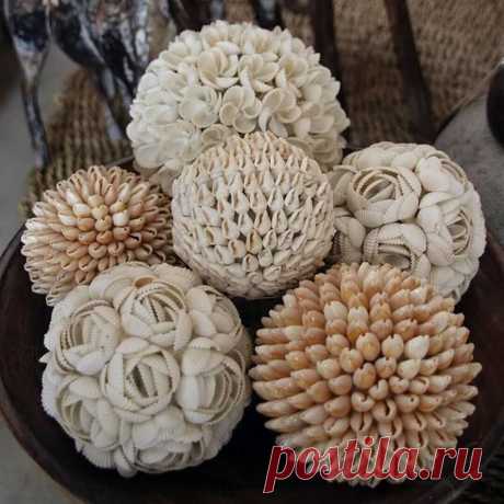 Ракушечное вдохновение