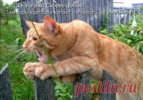 Новости