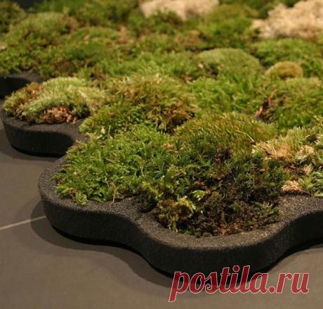 Собственный СПА салон, коврики для ванной комнаты