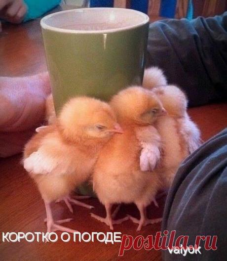 моя открытка