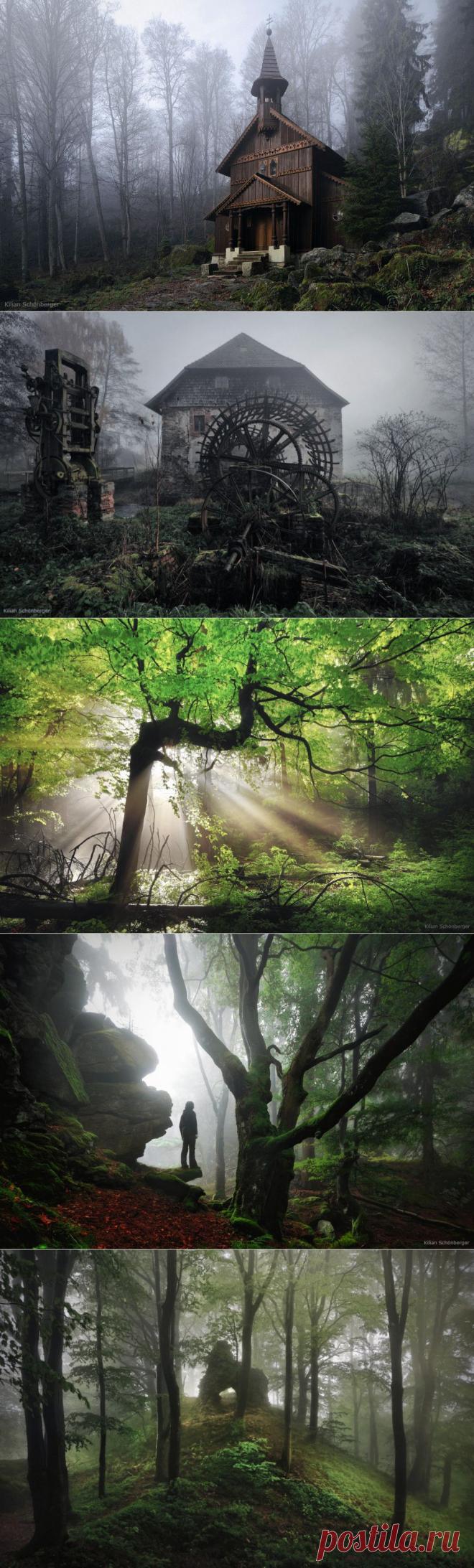 Завораживающие фотографии с родины братьев Гримм