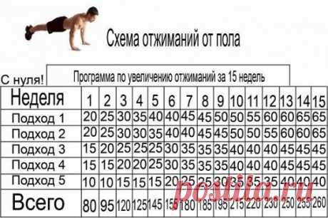 схема отжиманий