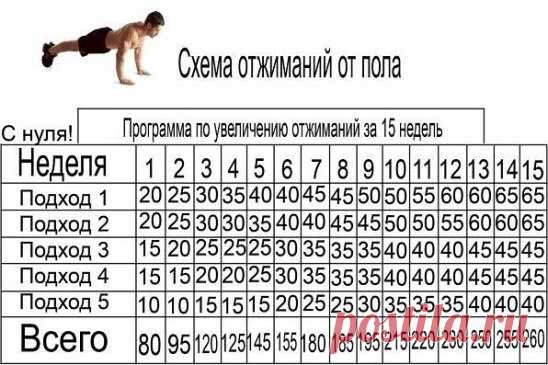 схема отжиманий