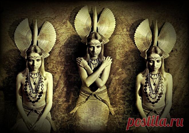 Древние арии -истина всё ближе ?Историки "подставили" президента Таджикистана... | СМОТРИ И ДУМАЙ... | Яндекс Дзен