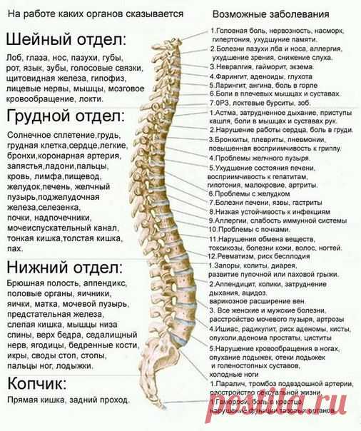 Пройди тест состояния здоровья своего позвоночника
