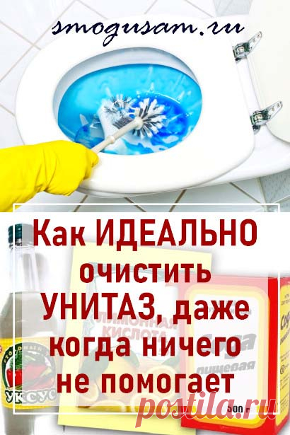 Как очистить очень грязный унитаз до блеска
