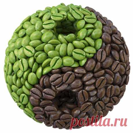 Жиросжигающий эффект зеленого кофе.