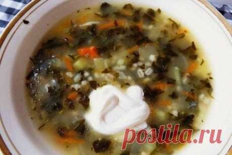12 вкуснейших щавелевых супов, которые можно готовить все лето