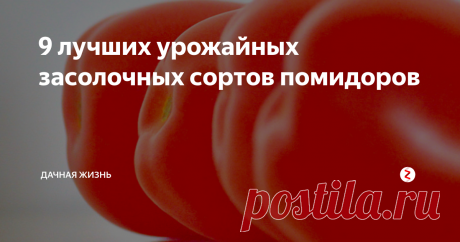 9 лучших урожайных засолочных сортов помидоров Для засолки и консервации томатов подходят не все сорта. Предпочтительнее выбирать помидоры с плотной кожицей, мясистой мякотью внутри, выраженной выровненностью и сахаристостью, чтобы помидоры в консервации были вкусными. Также хорошее качество — урожайность, для получения дружных созревших плодов, и устойчивость к инфекции, чтобы томаты хранились долго. Все засолочные сорта условно разделяют на