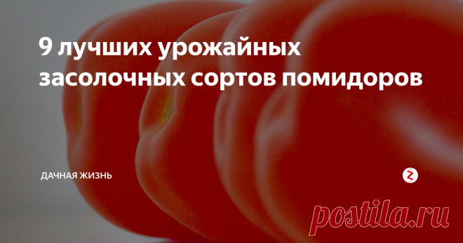 9 лучших урожайных засолочных сортов помидоров Для засолки и консервации томатов подходят не все сорта. Предпочтительнее выбирать помидоры с плотной кожицей, мясистой мякотью внутри, выраженной выровненностью и сахаристостью, чтобы помидоры в консервации были вкусными. Также хорошее качество — урожайность, для получения дружных созревших плодов, и устойчивость к инфекции, чтобы томаты хранились долго. Все засолочные сорта условно разделяют на