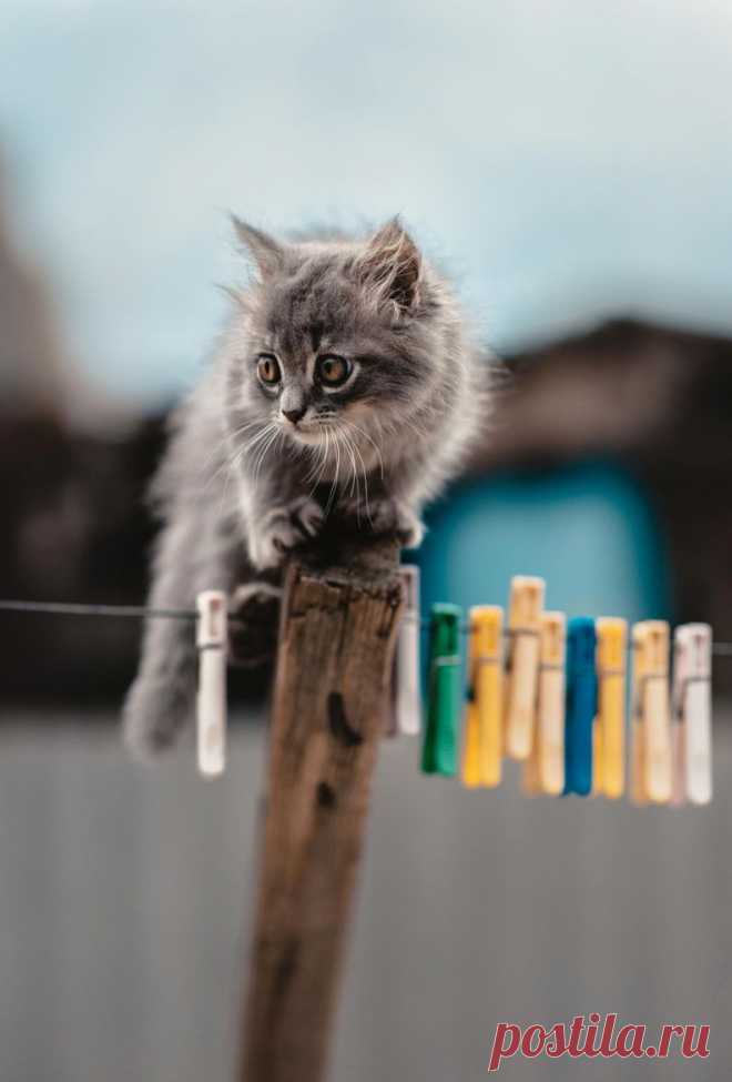 Untitled by Alexey Drangovskiy