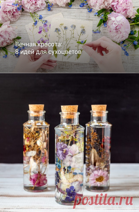 Вечная красота: 8 идей для сухоцветов. Фото — Ботаничка