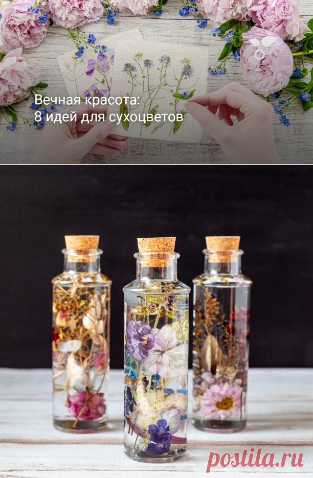 Вечная красота: 8 идей для сухоцветов. Фото — Ботаничка