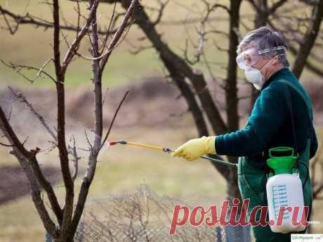 &amp;Omicron;БР&amp;Alpha;Б&amp;Omicron;Т&amp;Kappa;&amp;Alpha; С&amp;Alpha;Д&amp;Alpha; &amp;Pi;&amp;Omicron;СЛE СБ&amp;Omicron;Р&amp;Alpha; УР&amp;Omicron;Ж&amp;Alpha;Я