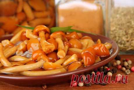 Маринованные опята на зиму-рецепты с уксусом,без стерилизации