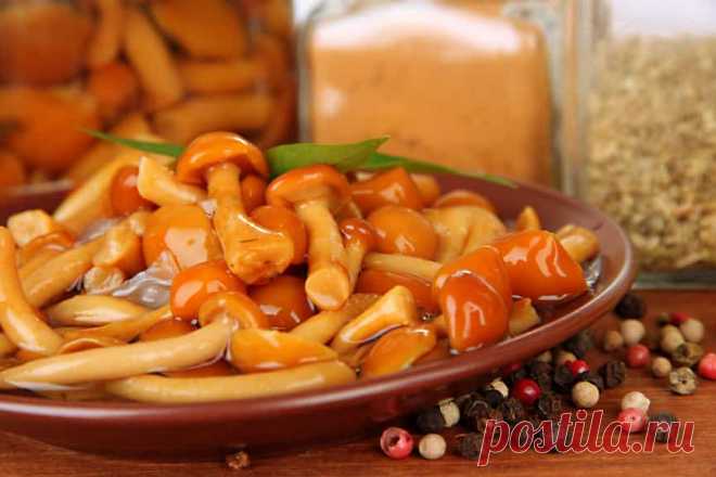 Маринованные опята на зиму-рецепты с уксусом,без стерилизации