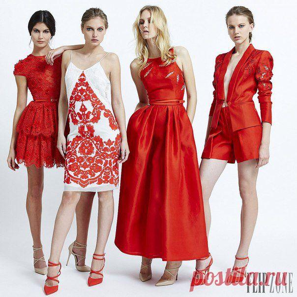 Как встречать Новый 2016 год Обезьяны правильно? :: NewsRbk.ru