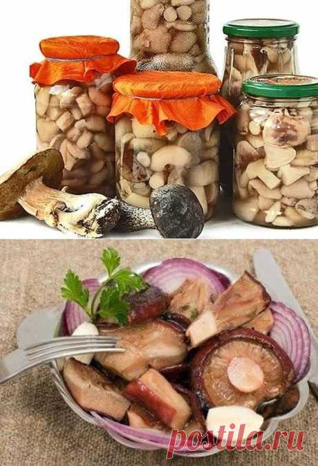 Заготовки. Грибы.