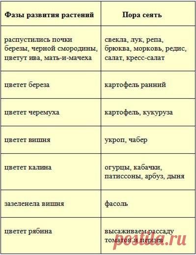 Сроки и глубина посева семян

многих волнует вопрос: «Когда сеять овощи в открытый грунт?» К сожалению, в одной статье нельзя дать рекомендации для каждой местности. Поэтому будем ориентироваться не календарь, а на внешние признаки: температуру воздуха, температуру грунта, фенологические фазы развития растений.

Первое правило, о котором не нужно забывать — не спешите выходить на участок, лишь только сойдет снег. Дайте земле немного просохнуть, приготовиться к новому огоро...