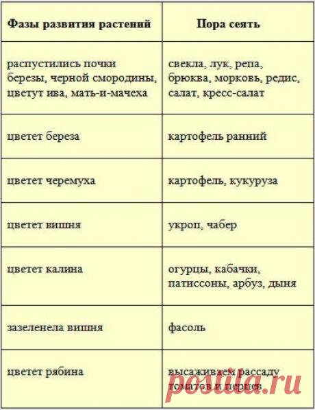 Сроки и глубина посева семян

многих волнует вопрос: «Когда сеять овощи в открытый грунт?» К сожалению, в одной статье нельзя дать рекомендации для каждой местности. Поэтому будем ориентироваться не календарь, а на внешние признаки: температуру воздуха, температуру грунта, фенологические фазы развития растений.

Первое правило, о котором не нужно забывать — не спешите выходить на участок, лишь только сойдет снег. Дайте земле немного просохнуть, приготовиться к новому огоро...
