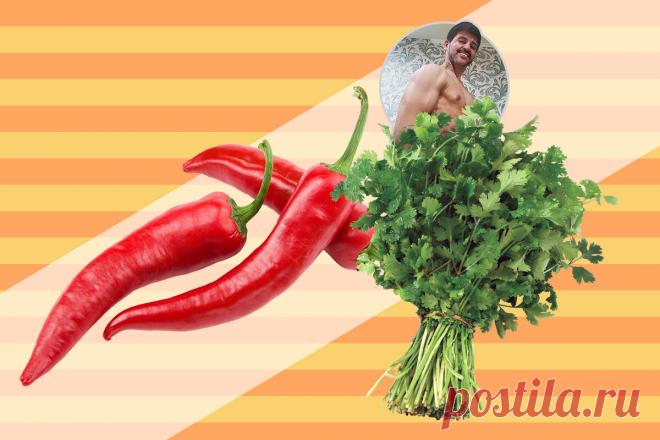 💪"Проблемы с почками ушли" 5 продуктов, которые помогли мне избавиться от болезни почек и держать их в тонусе | Захар на ЗОЖе  | Яндекс Дзен