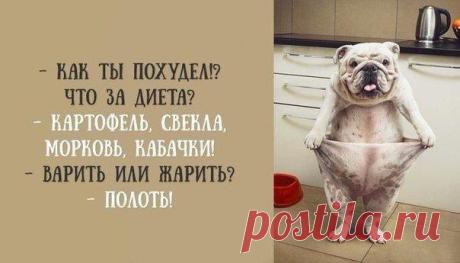 фитнес для мозга: 24 тыс изображений найдено в Яндекс.Картинках