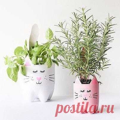 Очаровательные котики-горшки из пластиковых бутылок