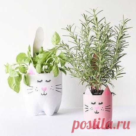 Очаровательные котики-горшки из пластиковых бутылок