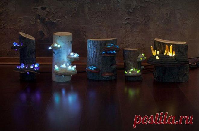 Невероятно красивые ночные лампы от  Shroom in the Room. Все они сделаны из дерева и настоящих кристаллов аметистов, которые подсвечиваются светодиодами.