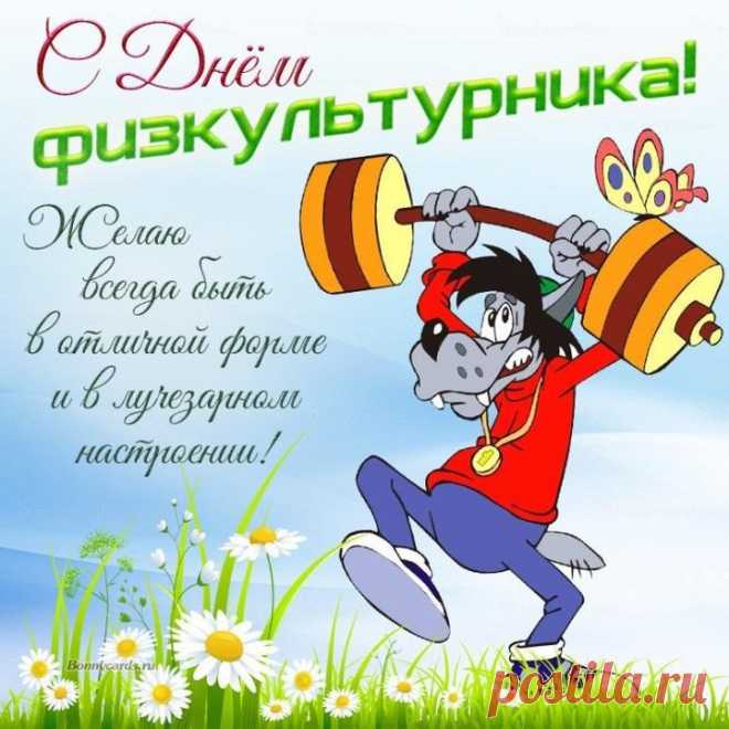 С Днём физкультурника, ура!
Пусть в спорте сказочно везёт,
И бодрость жизнь пускай даёт,
И все исполнятся мечты —
Для счастья и для теплоты!