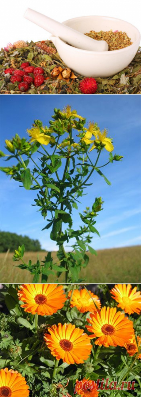 Рецепты народной медицины при заболеваниях печени / Будьте здоровы