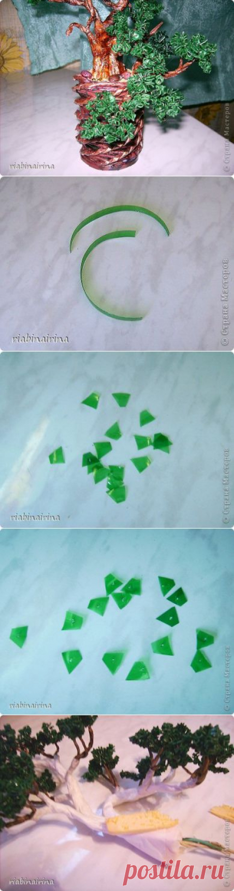 Бронзовая сосна + МК | Страна Мастеров
