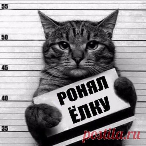 Прикольные картинки про всё на свете