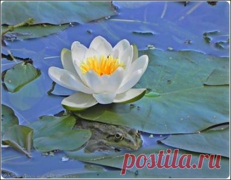 Избранное | Фотографии Елена Жёлтышева | 75 фото