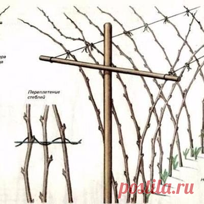 Публикация Страницы Идеи от 16 марта