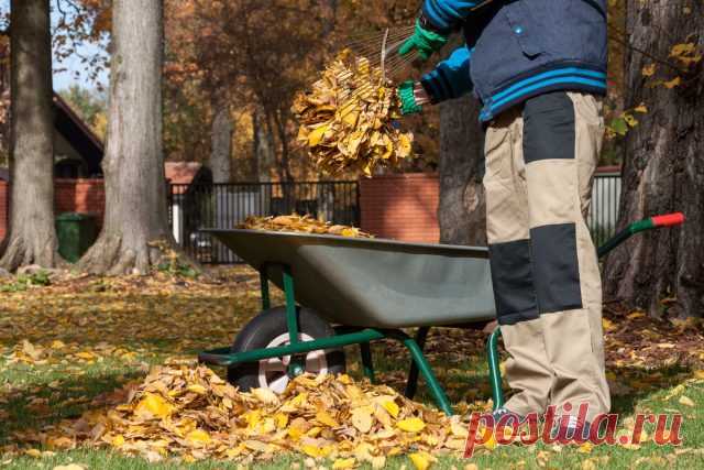 Что нельзя делать садоводам и огородникам в октябре — Ботаничка