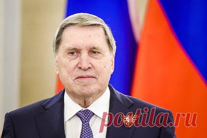 В Кремле оценили работу зятя Трампа в вопросе Украины