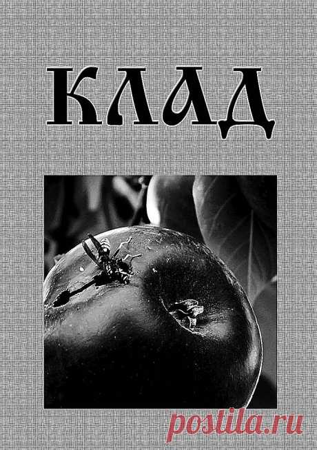 Редактировать запись - Литература - Админка