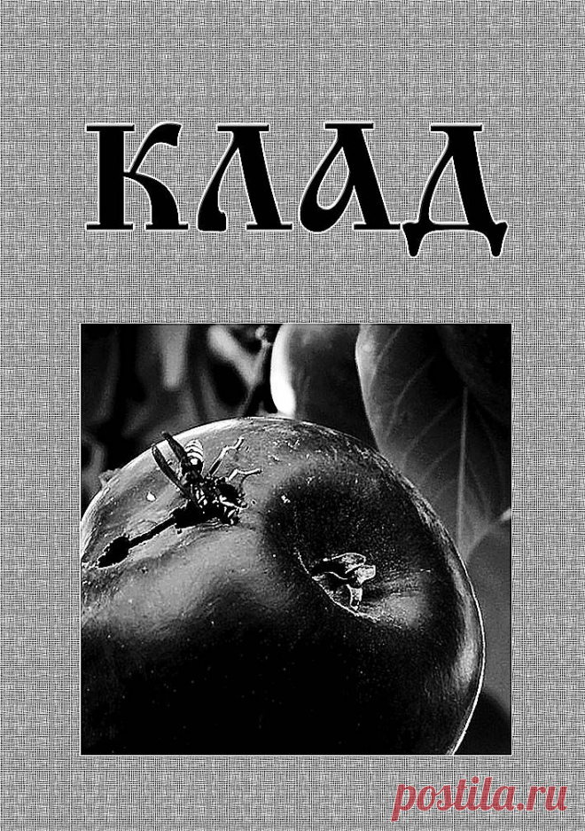 Редактировать запись - Литература - Админка